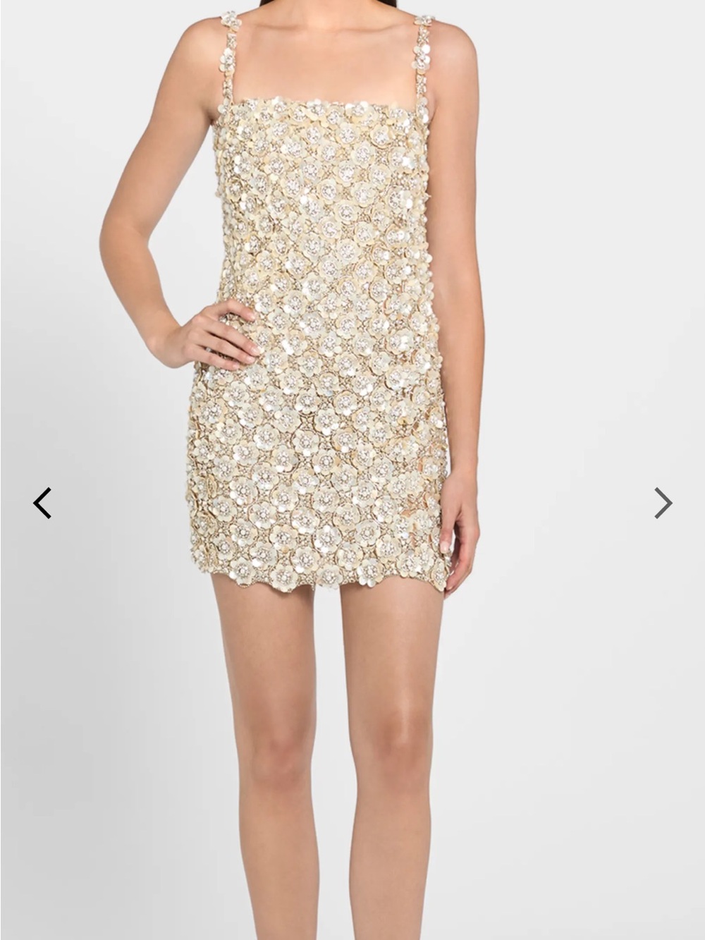Oscar de la Renta Champagne and Silver Embellished Dress
